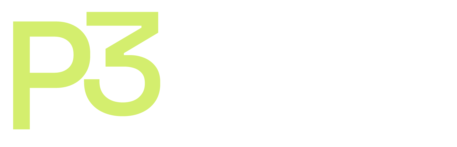 P3 Partners